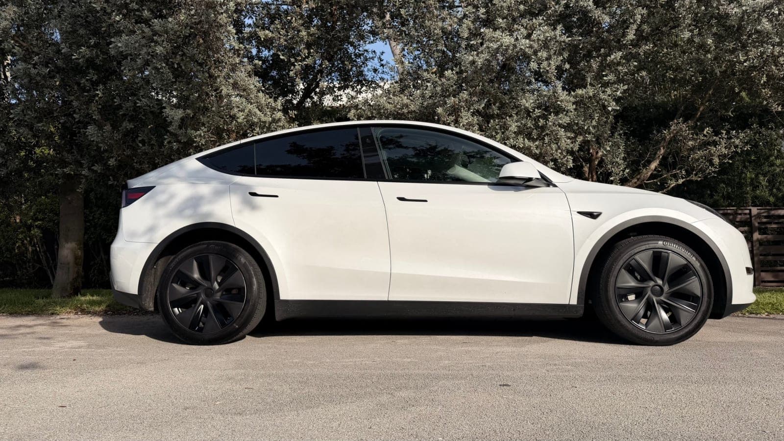 MODEL Y — foto 1